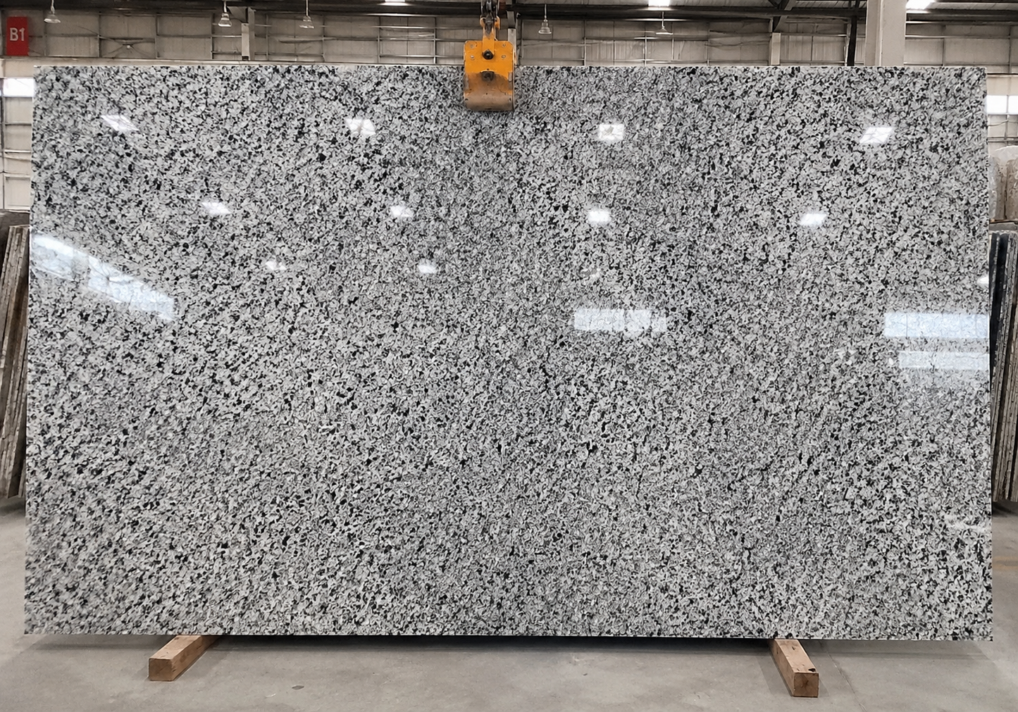 Halayeb Granite